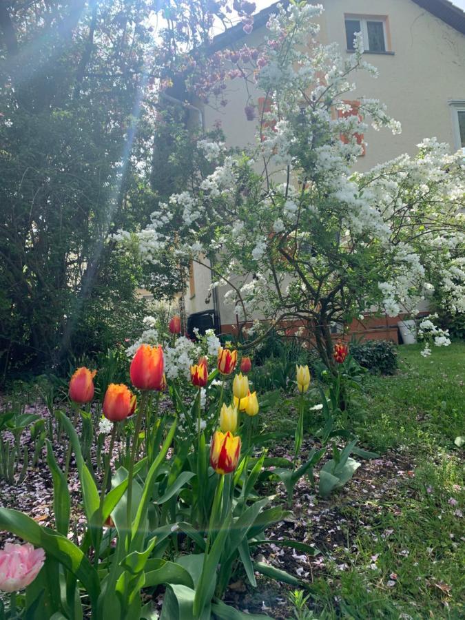 Apartament Blumenblick Rielasingen-Worblingen Esterno foto