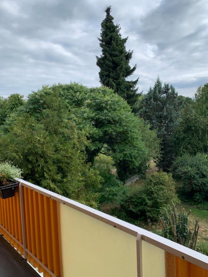 Apartament Blumenblick Rielasingen-Worblingen Esterno foto