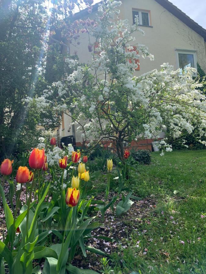 Apartament Blumenblick Rielasingen-Worblingen Esterno foto