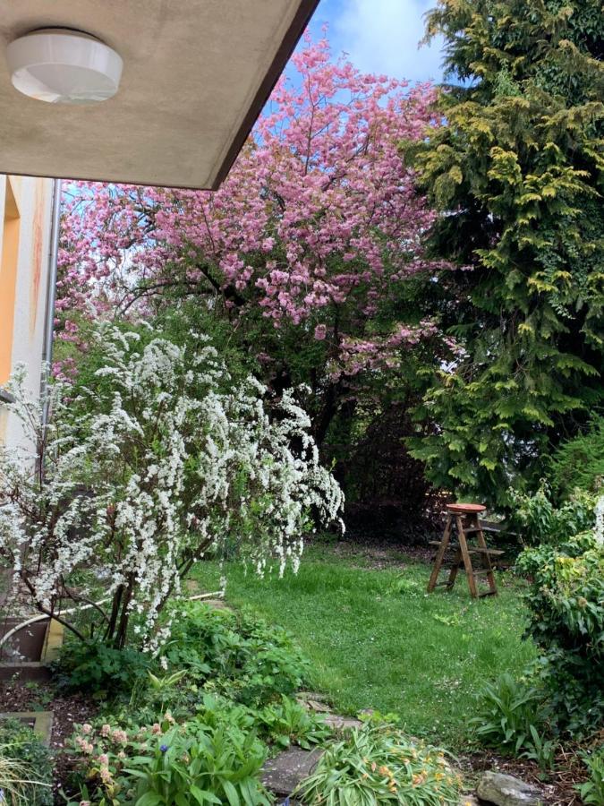 Apartament Blumenblick Rielasingen-Worblingen Esterno foto
